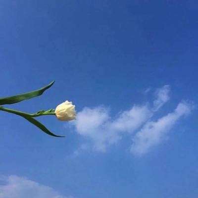 玄而无念手游下载