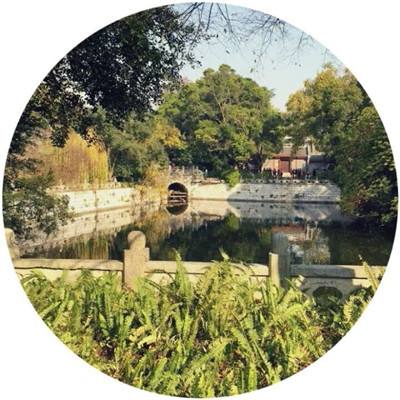天骄无双手游下载